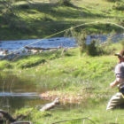 Argentina fly Fishing Guide