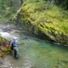 Chubut province small stream fly fishing for trout