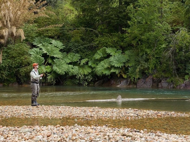 chile small stream fly fishing