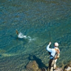 NZ Flyfishing