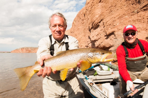 Argentina Migratory Brown Trout