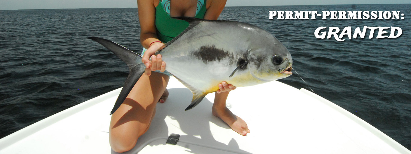 Belize Permit Fishing