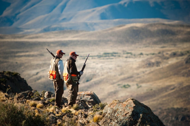 Bird hunting Chubut Province