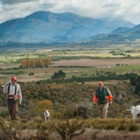Patagonia River Guides Quail Hunting