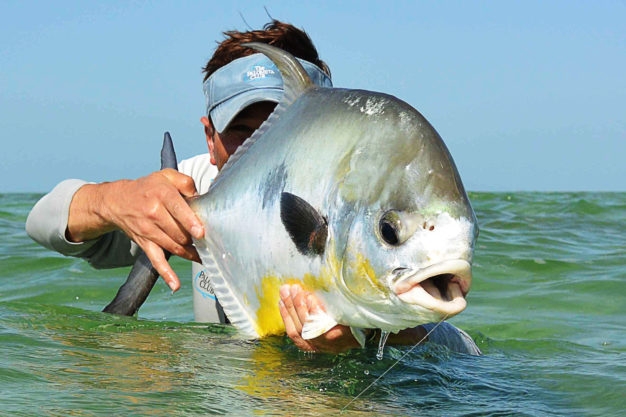 Permit caught on fly in mexico