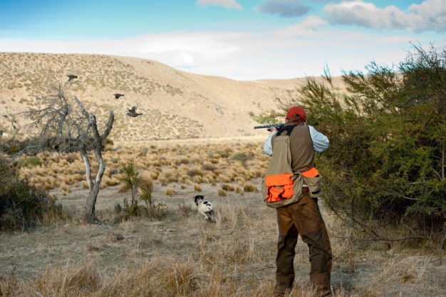 Quail Hunting in Argentine Patagonia with PRG