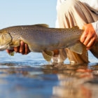 Rio Limay Float trip fly fishing