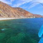 Baja Mexico Fly Fishing