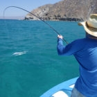 Catching roosterfish in Mexico