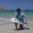 Roosterfish guide mexico