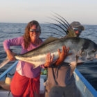 biggest roosterfish
