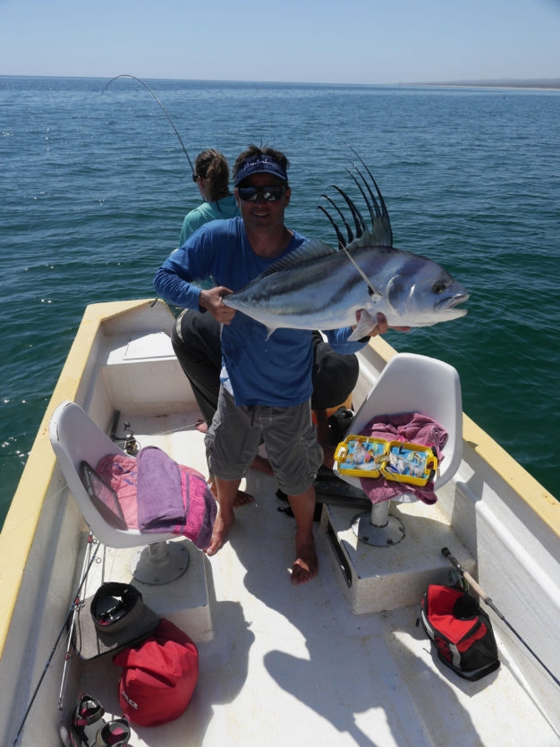 rooster fish destination