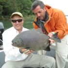 Pacu Fishing Fly Guide Argentina