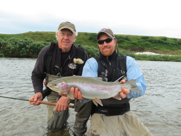 Alaska fly in rainbow trout