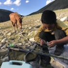 Mongolia local herders taimen