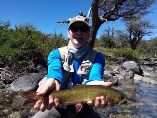 Brook trout in Chubut province Argentina