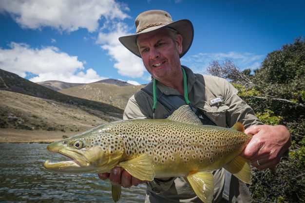 Brown Trout on dry flies in New Zealand