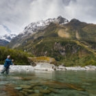 iversity of New Zealand trout waters