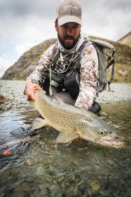 New Zealand Brown Trout guide