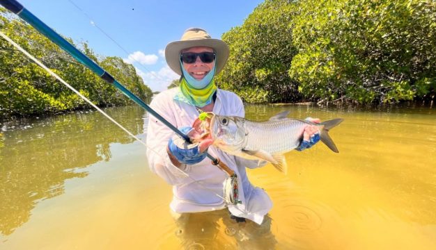 Holbox Mangrove Tarpon