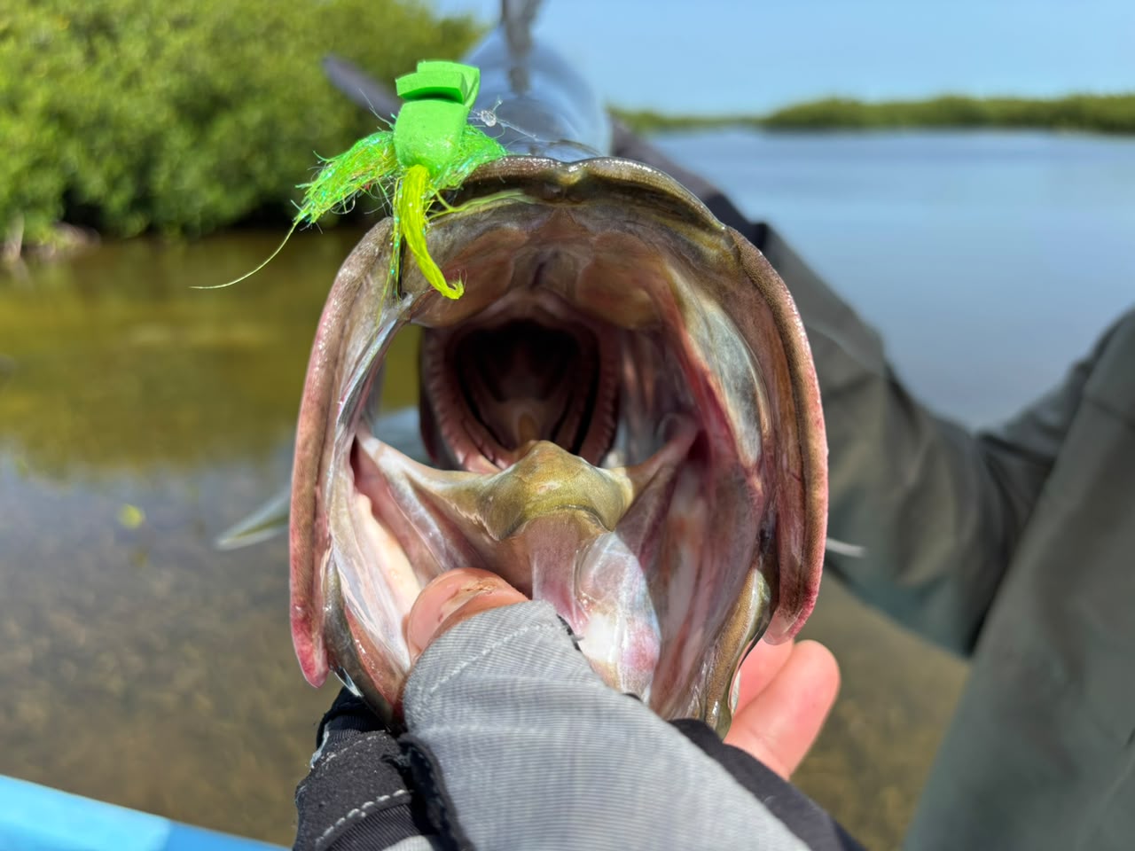 Tarpon Poppers Flies Mexico
