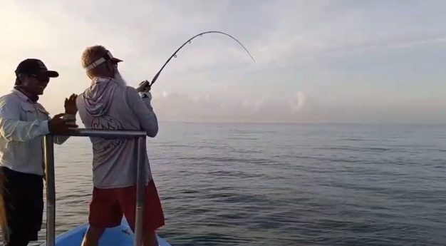 fish on-tarpon bent rod