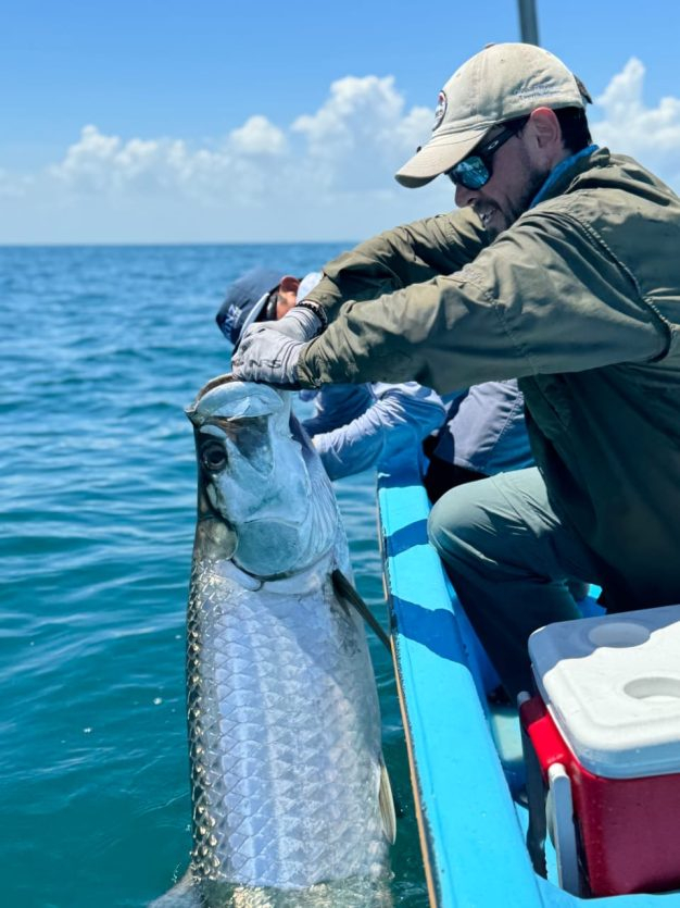 huge tarpon on the fly