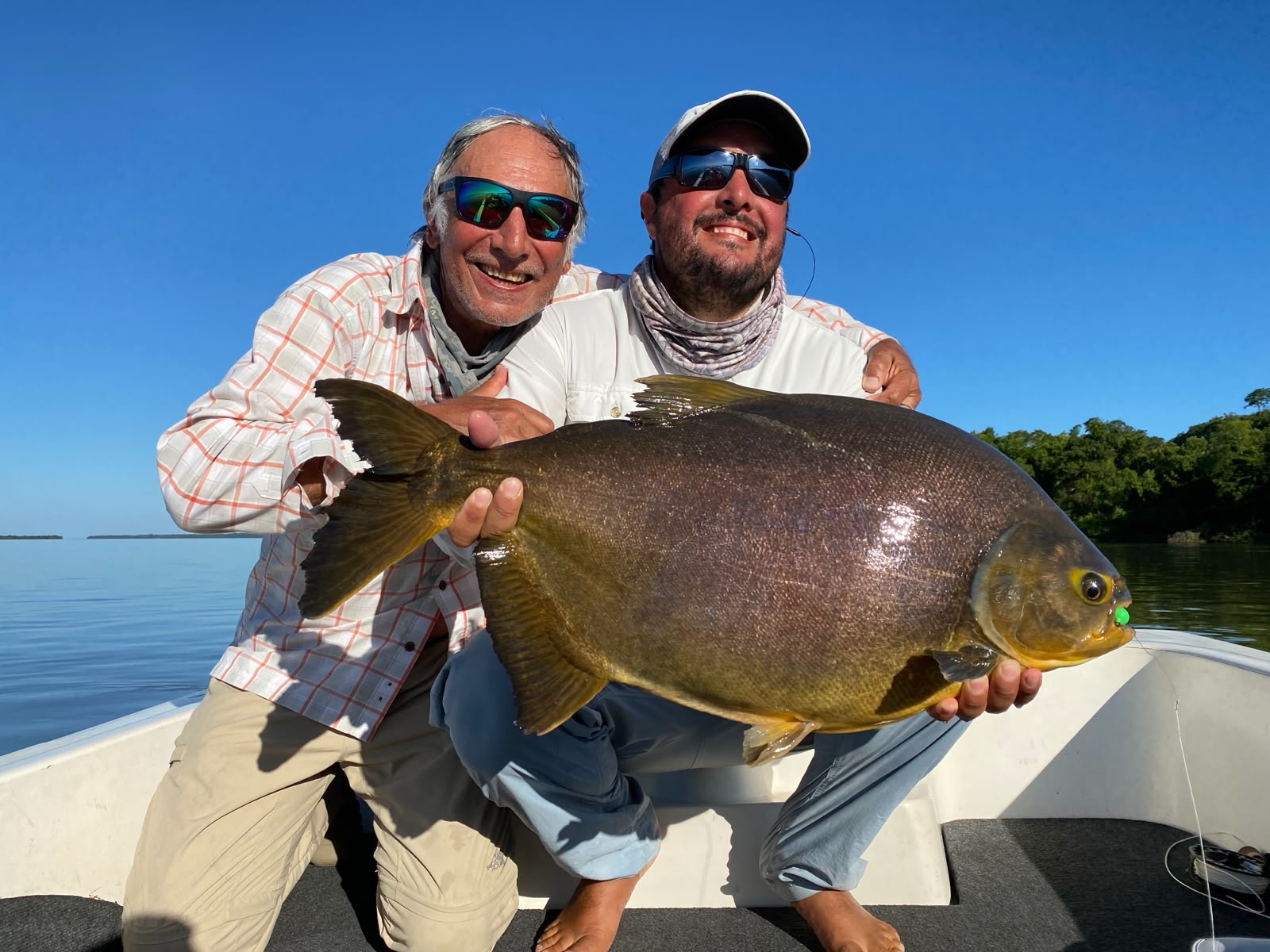 Pinti's pacu fishing